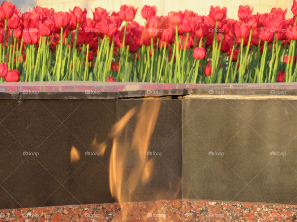 eternal flame in memory of the fallen soldiers