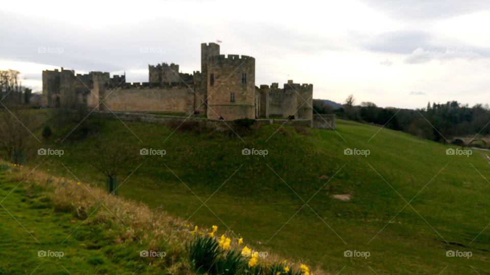 Castle, Architecture, Gothic, No Person, Fortification