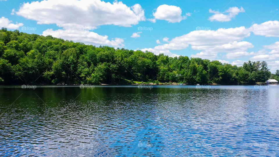 The start of another beautiful day, Speculator New York