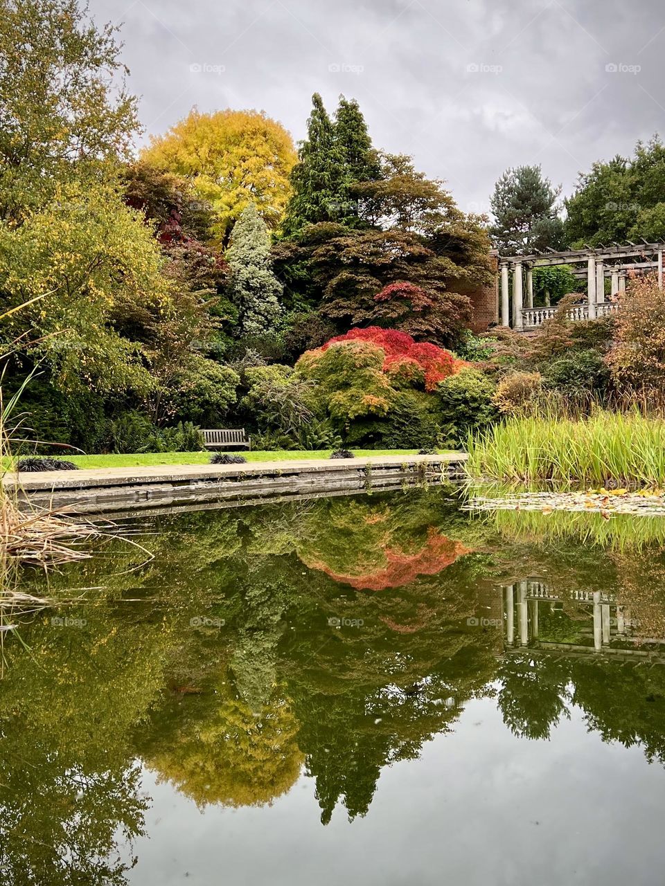 Beautiful autumn day in the park. Autumn mood. Colourful autumn nature. Amazing reflection on the water. Nice landscape.