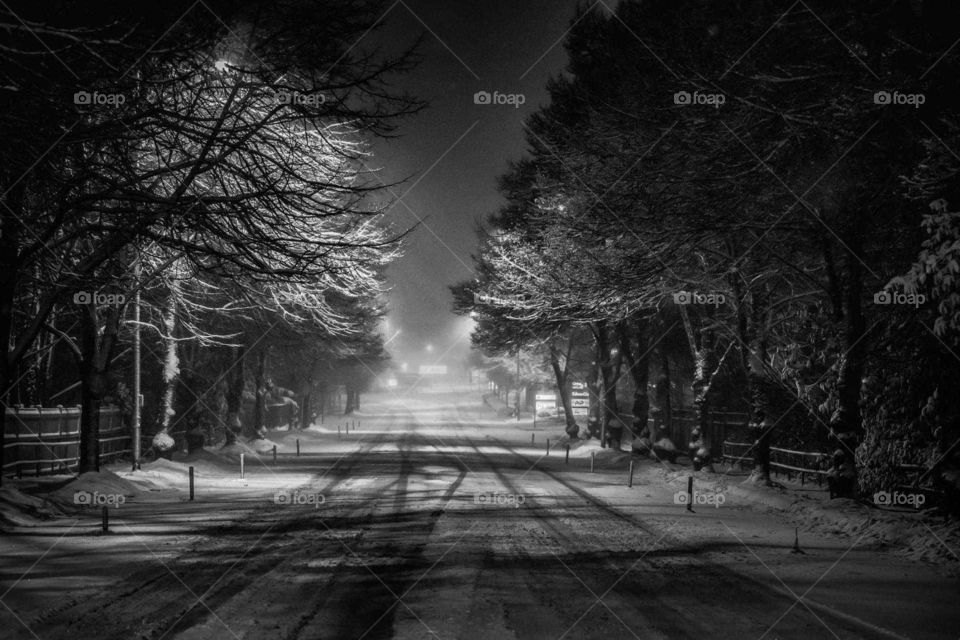 Black and White/Recently Snowed empty Nighttime Street with a car's Headlights a mile away, also in vision R big beautiful🌲& on road R tire streaks from previous veichles driving through,The only light is from Streetlamp/the N.S.=🌃 & headlights.