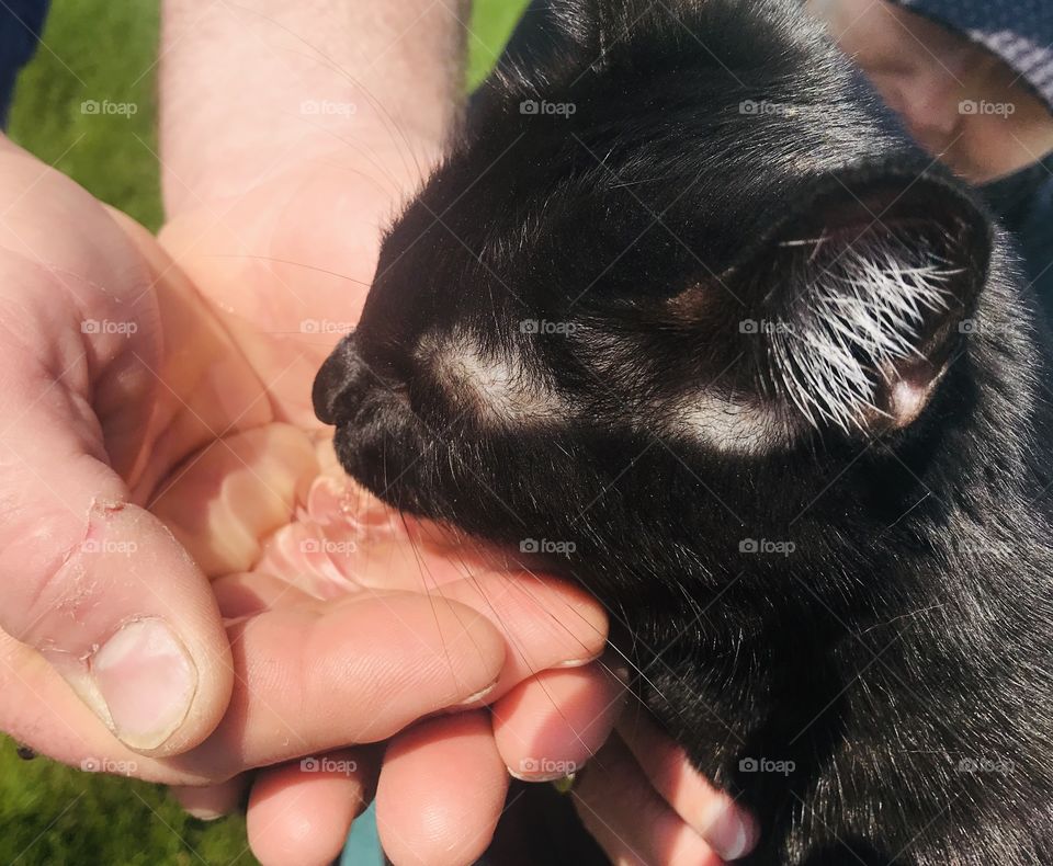 Darling little black kitty sipping water out of hands is one of our secret little rituals while on walks! 