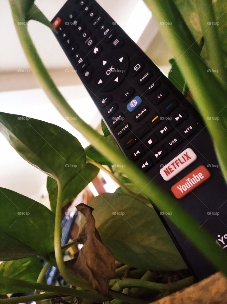 un poco de colorido divertido 😊