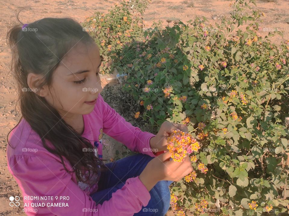 Beautiful little girl picking flowers from nature