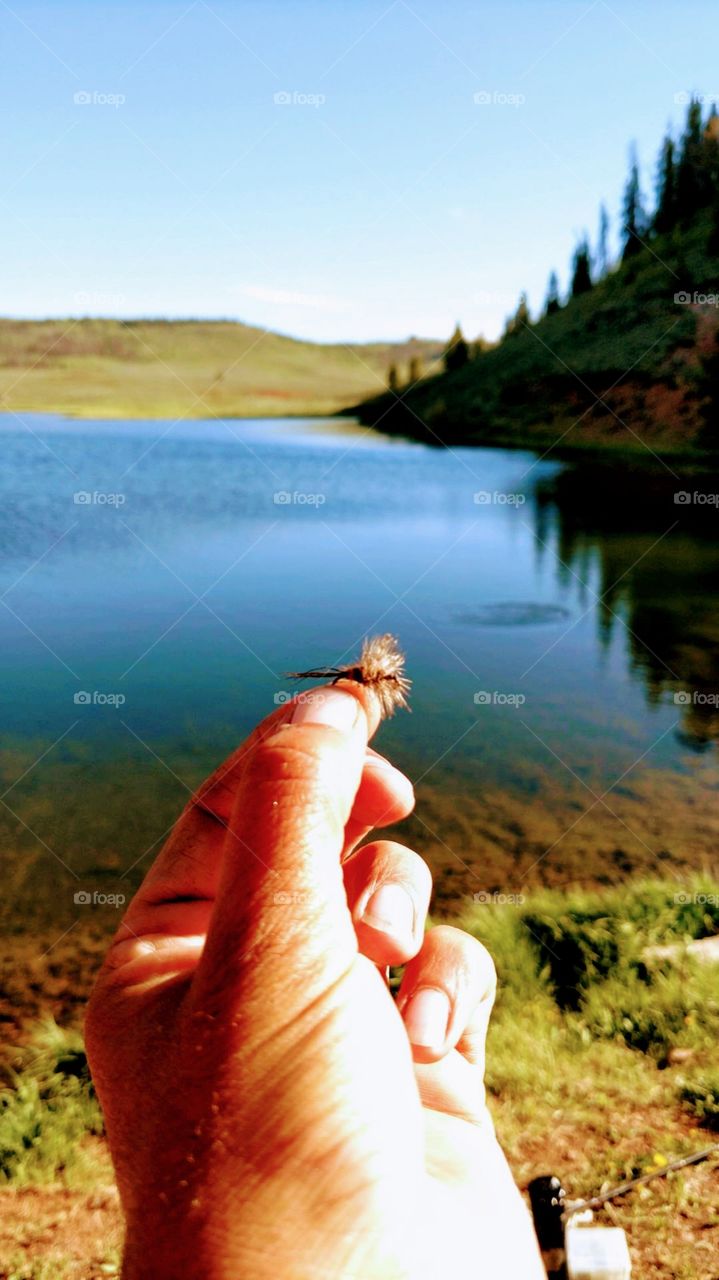 fly fishing