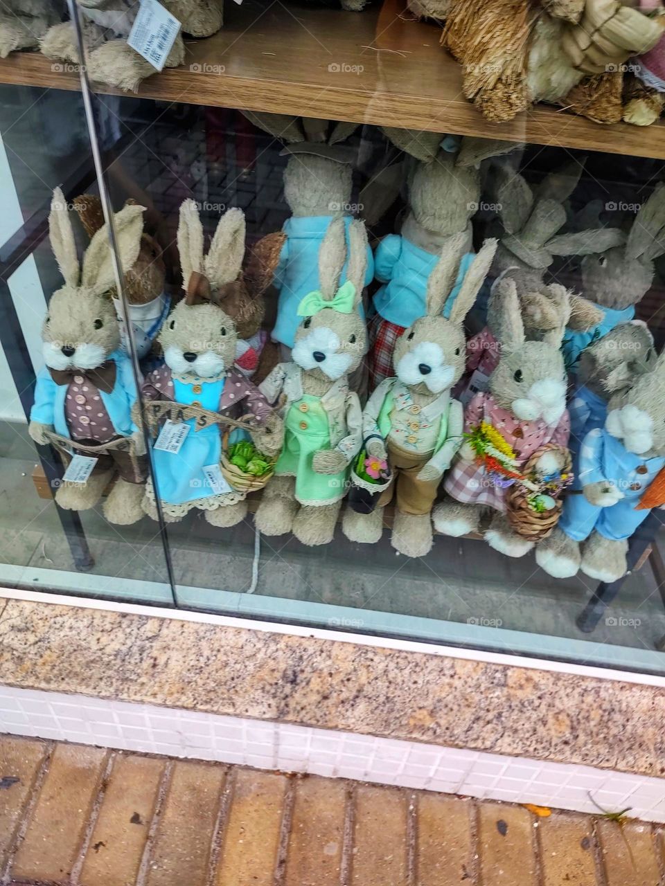 a shop window full of rabbits.