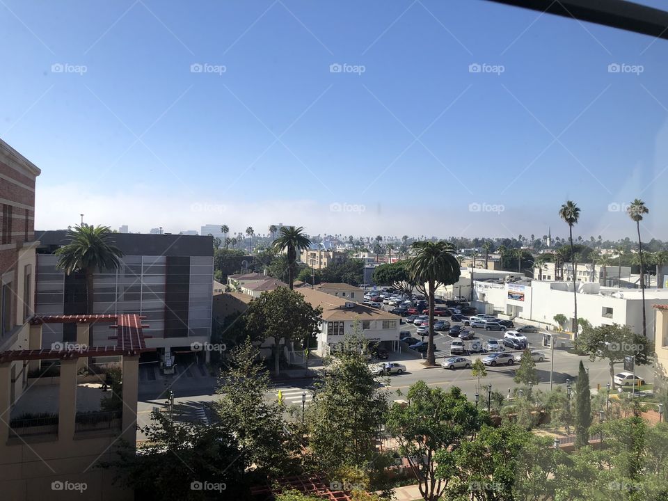 House, Home, Tree, Architecture, Building