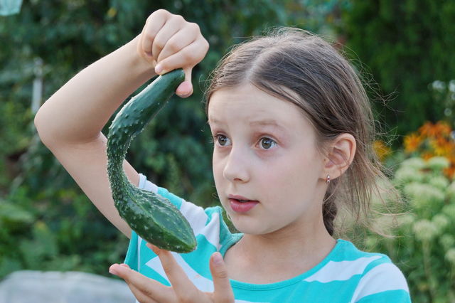 Girl holding an unusual cucumber