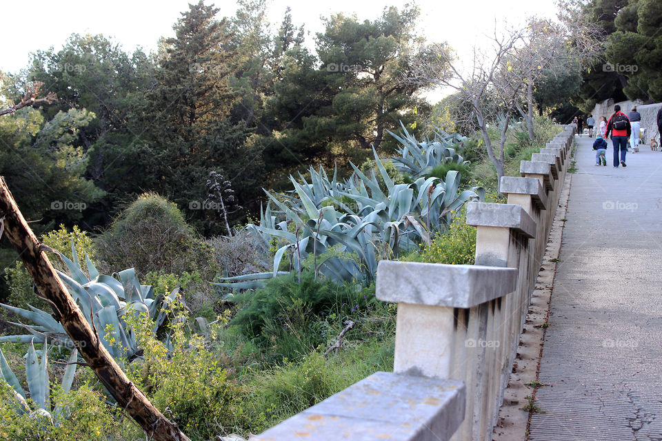 Marjan hill in the city of Split