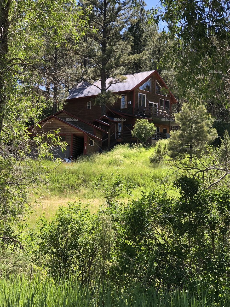 Cabin in the Colorado Mountains