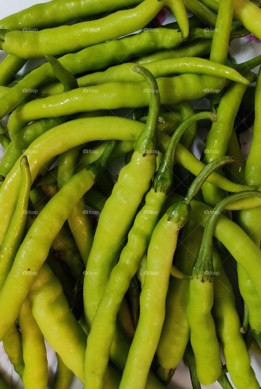 bunch of fresh green chillies hot and spicy