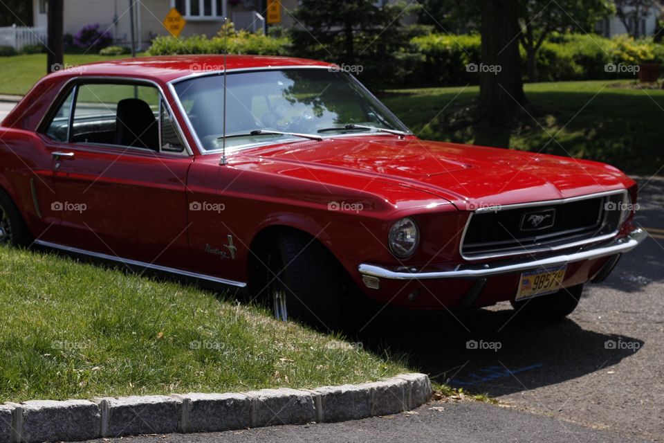 Red Mustang