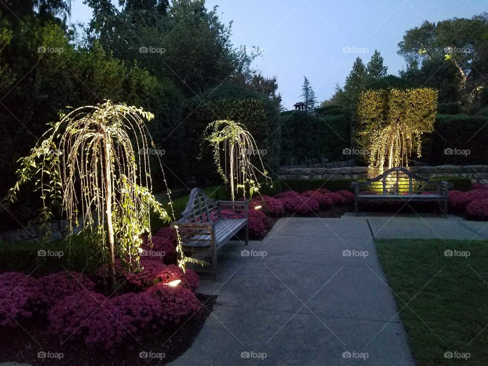 Lights create a magical place