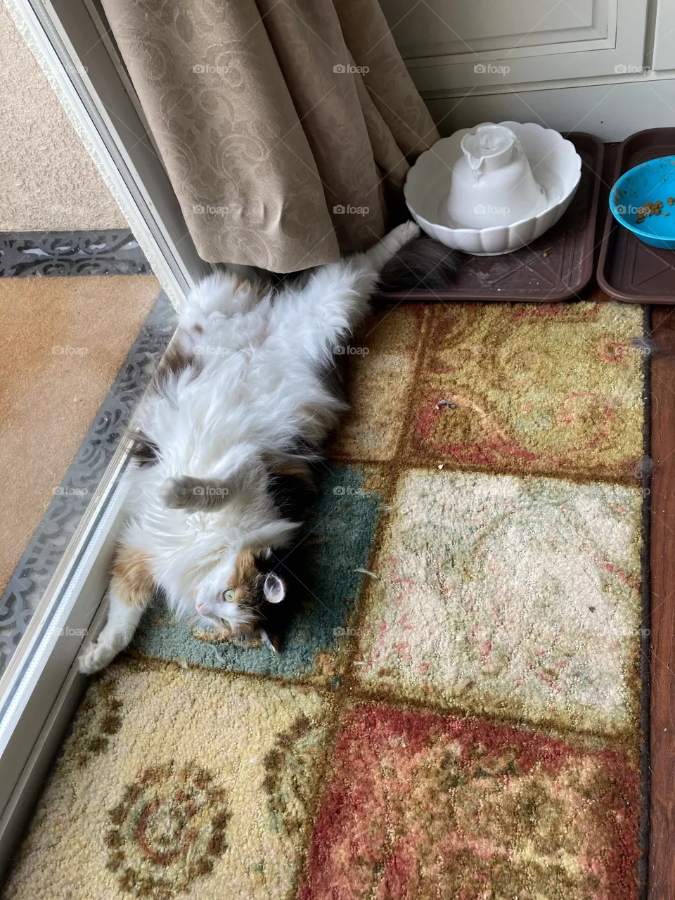 Block the door 