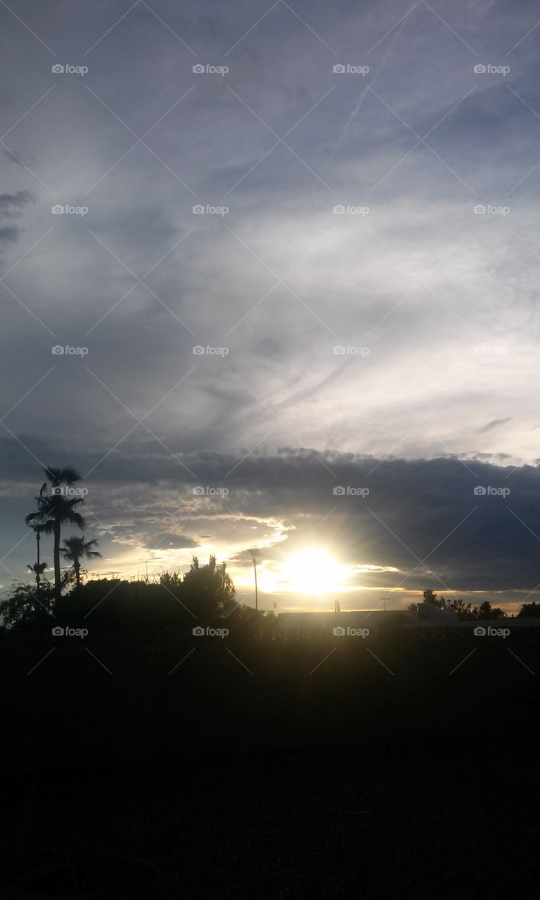 Beautiful Sun Rays Among 
Standing Trees and the Palms 
Shimmering Light Shows 
The Clouds Images , Stunning 
As they are , And Very Interesting
Themselves as Well
How Blessed I am to Capture 
Nature at it' s Best. A very 
Beautiful, Stunning Sunset.
