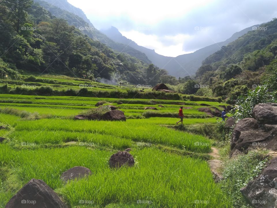 meemure rural village - srilanka