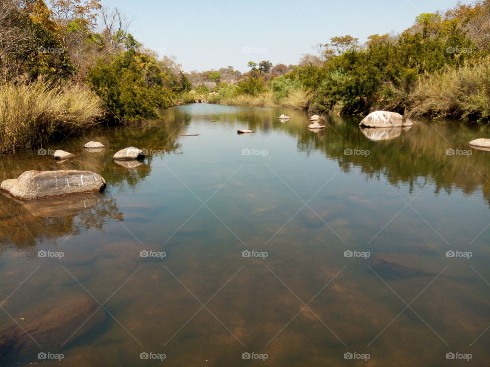 My photo is showing a magnificent river scene (Nora River, somewhere in Goromonzi, Harare, Zimbabwe, Africa)... with scattered rocks laid on the river bed, and if you look again in the water, you can see river sand clearly shown with its clay or mud   combination. Furthermore in the water ;what're also shown are rocks, which are showing their half top clearly on top of the water, while their half bottom are hidden in the water. In addition, their half top which are shown outside the water, are reflecting in the water like someone applied an FX. Furthermore, if you look at both sides of the river, you can see green, brownish, greyish, etc... trees and river crops alined there and they're reflecting in the water too. And lastly but not list, if you take a peek above all the natural features that I listed earlier, you can see a beautiful light blue sky, and it's reflecting in the water too, making the whole scene looks magnificent!