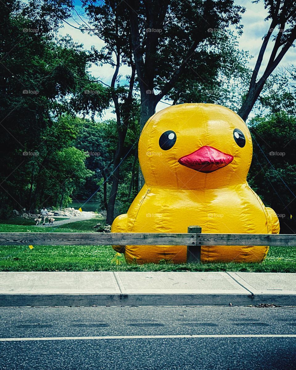 Big yellow rubber duck 