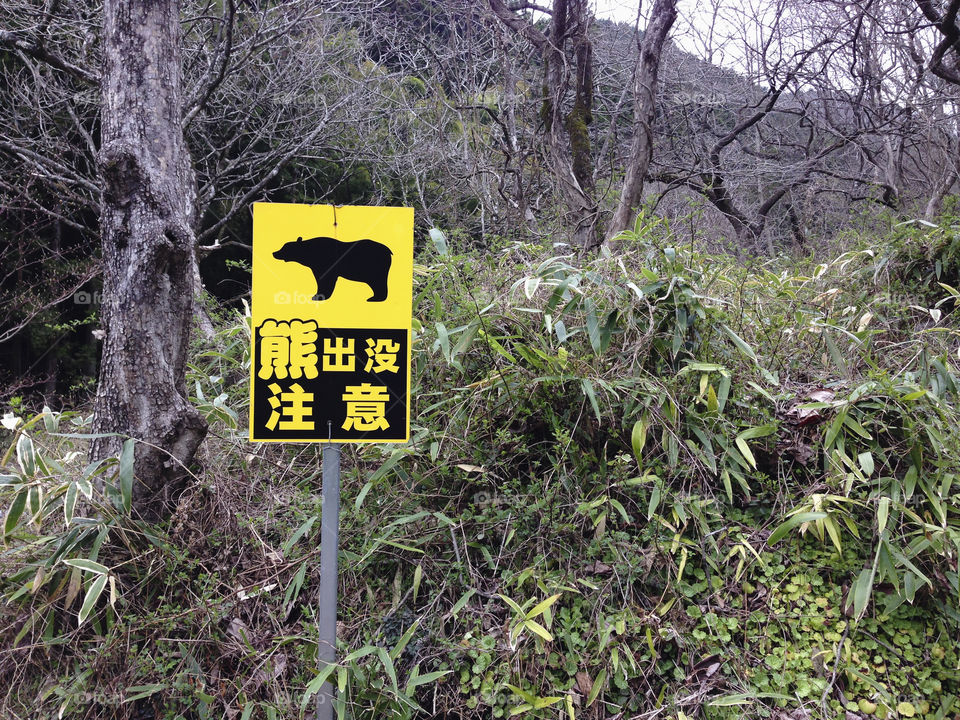 Bear warning. Warning sign in Japanese forest
