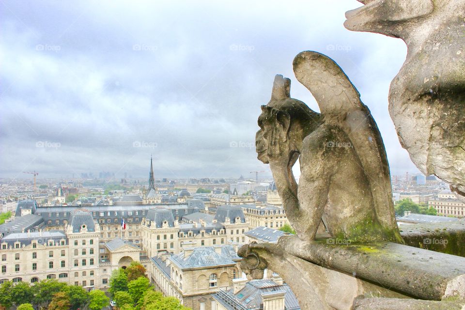 Pensive Gargoyle at Notre Dame