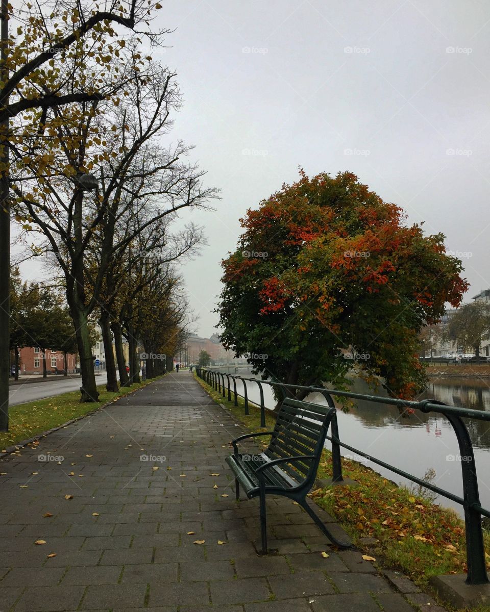 Autom/fall in Malmö, Sweden