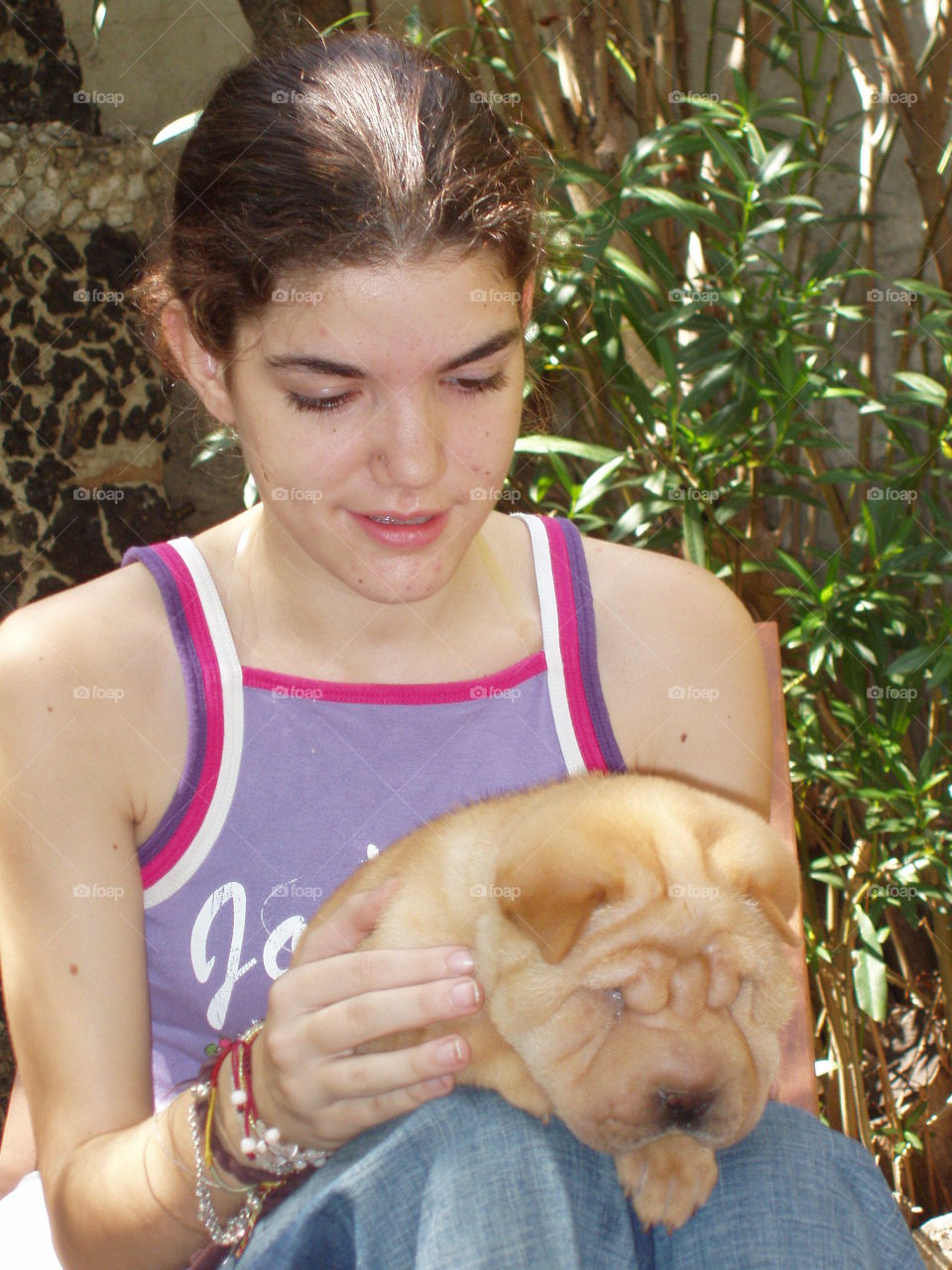 Sharpei puppy