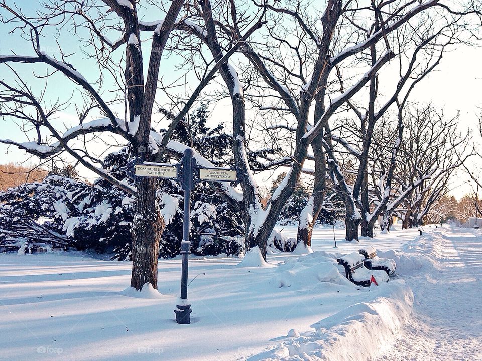 Snowy road