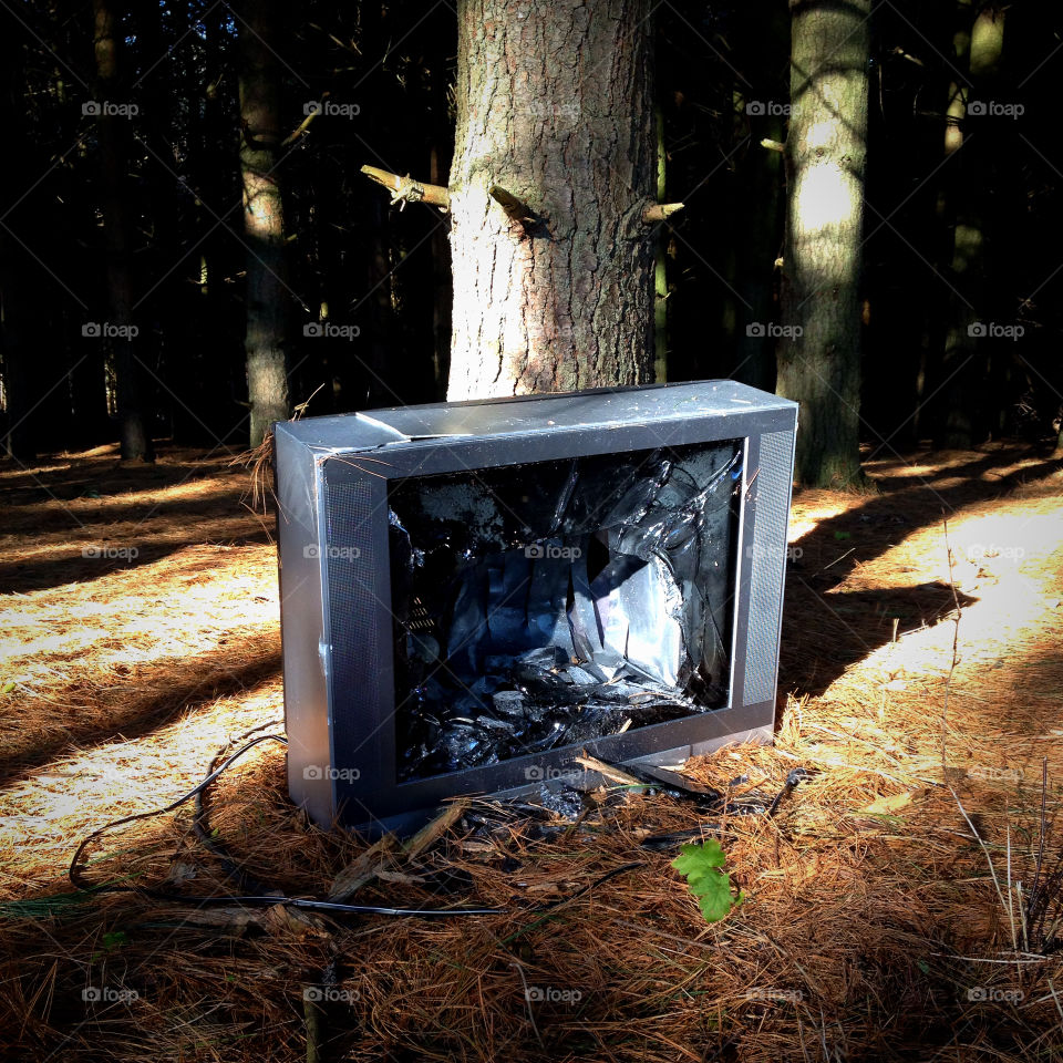 Old Tube TV thrown away in a pine forest, yesterday's technology television hazardous waste