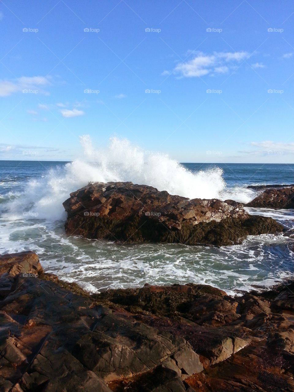 ocean rage. a wave crashes on a rock 