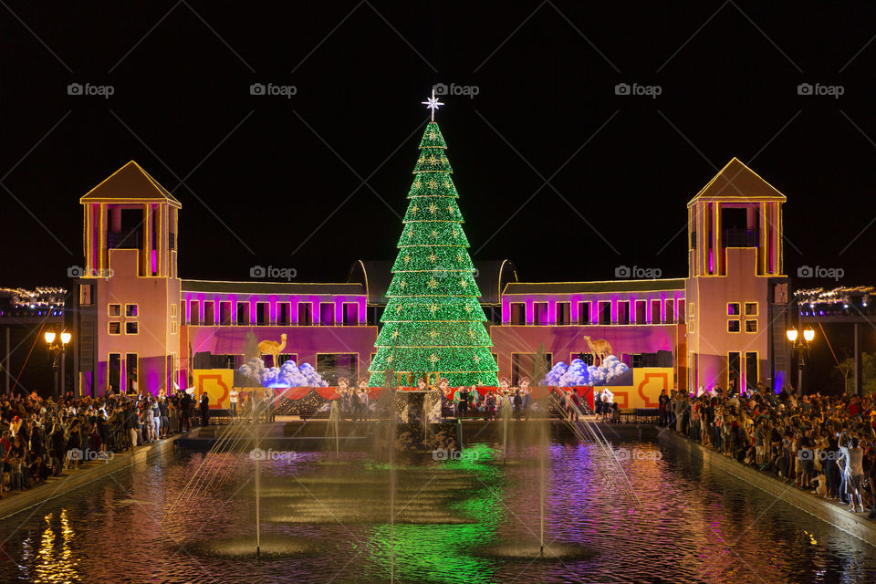 Christmas tree / Merry Christmas / Tangua Park.