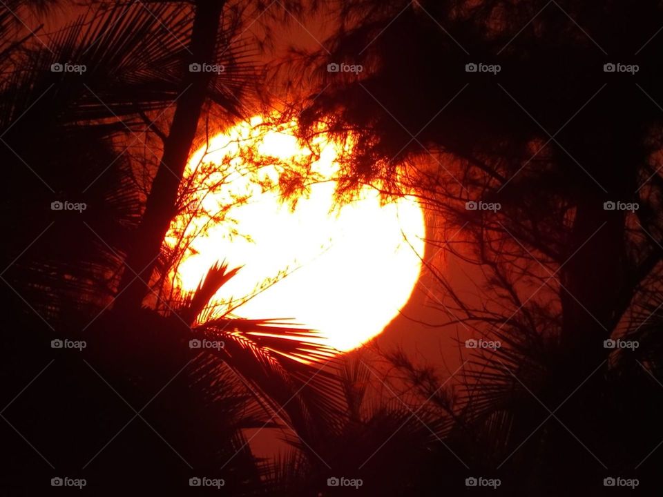 Sunset over Goa beach 