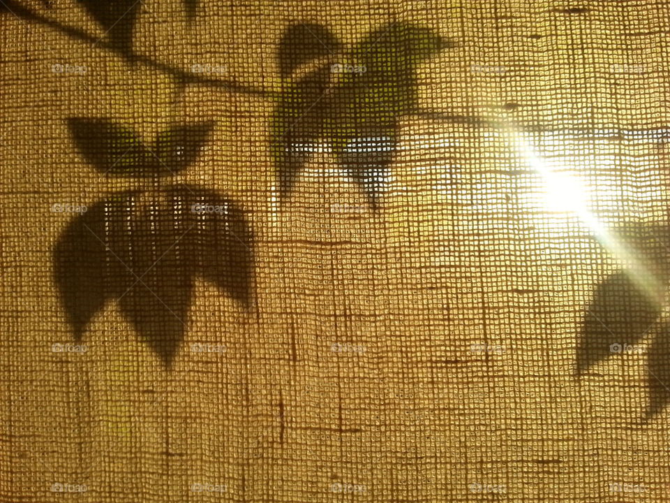 sunny rest in my flat