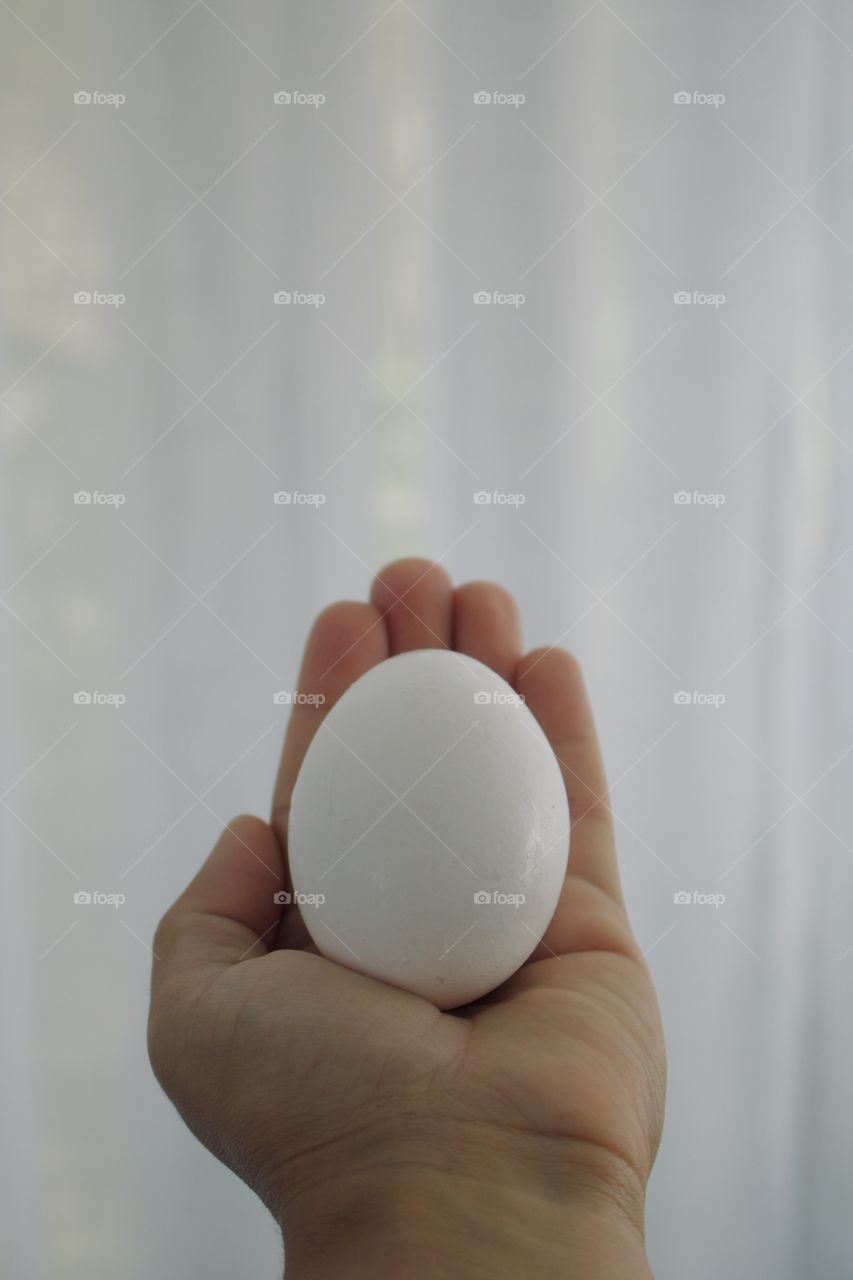 An egg in the hand 