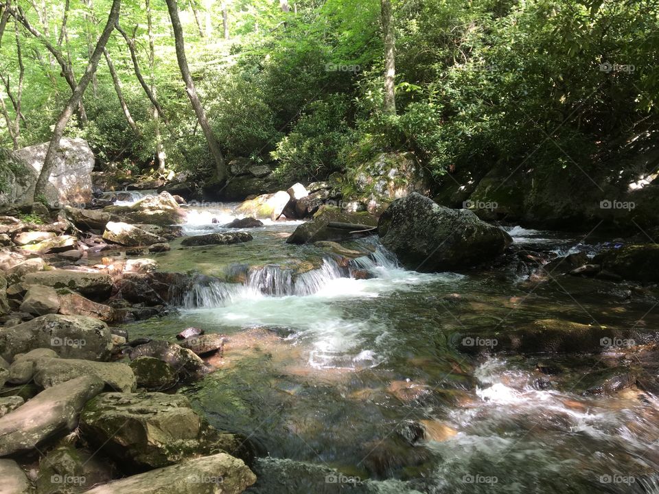 Creek 