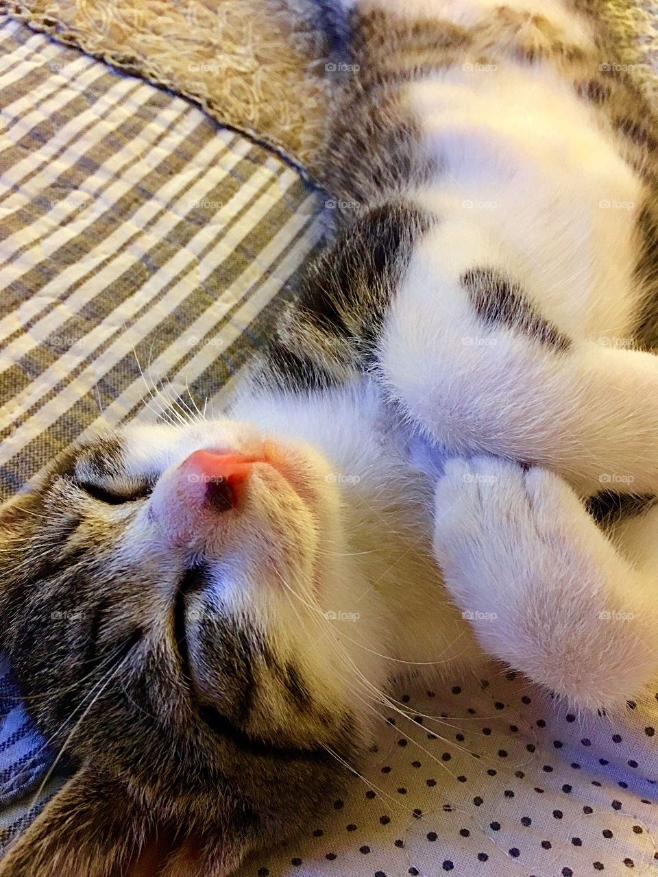 Captured with iPhone 6s Plus 