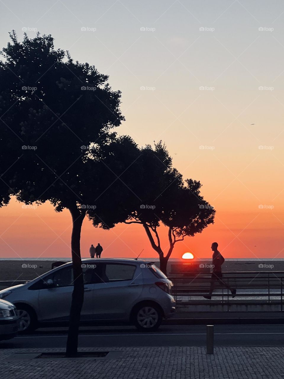 Runner in the sunset