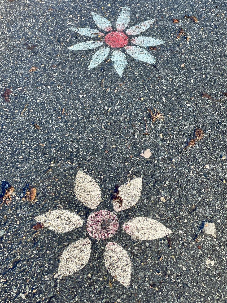 A vibrant display of chalk-drawn flowers on the pavement, featuring bold, colorful designs in shades of pink, blue, yellow, and red, creating a cheerful, artistic pattern that brightens the ground.