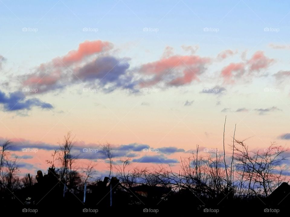 colorful sky at sunset  with black silhouettes of trees