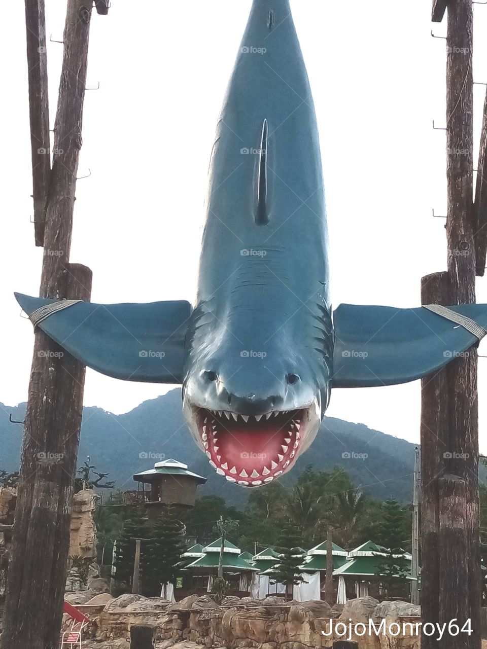 Giant Shark at the Resort