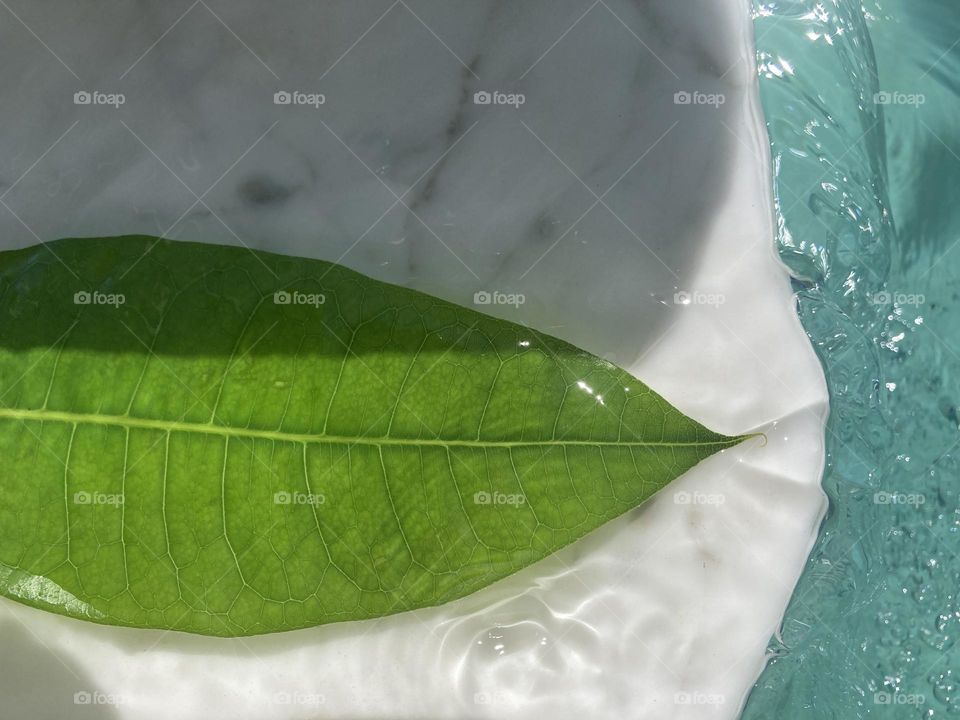 Water on leaf