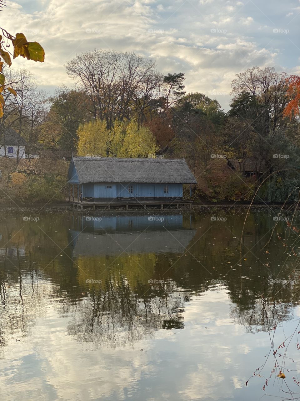 A blue house 