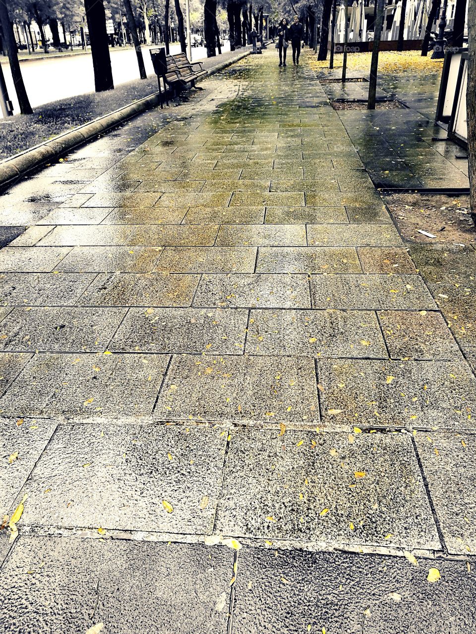 Pavement on park