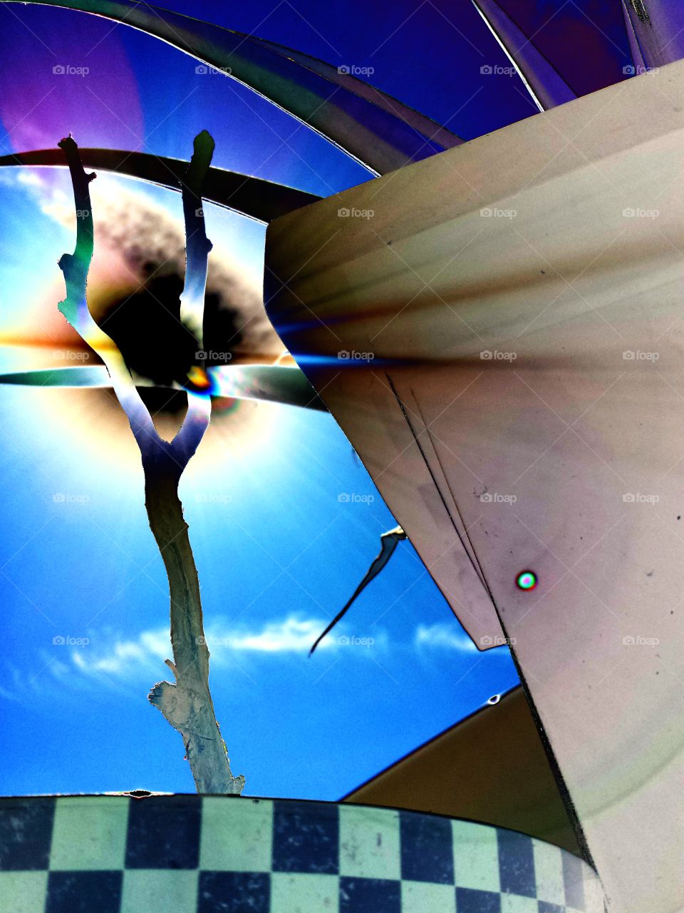 Sunshine and Plants Negative