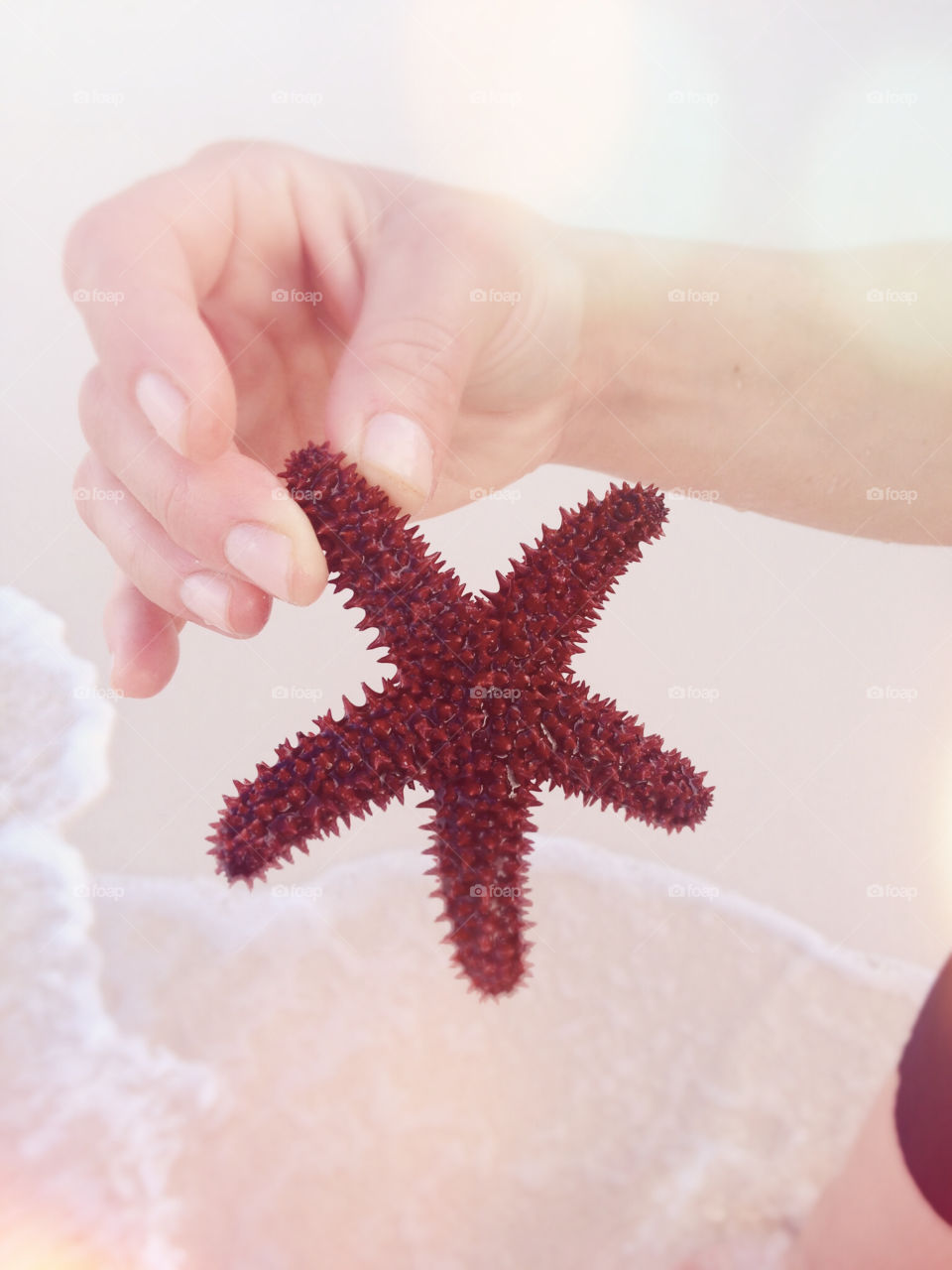 Woman’s hand holding a starfish with soft waves in the background 