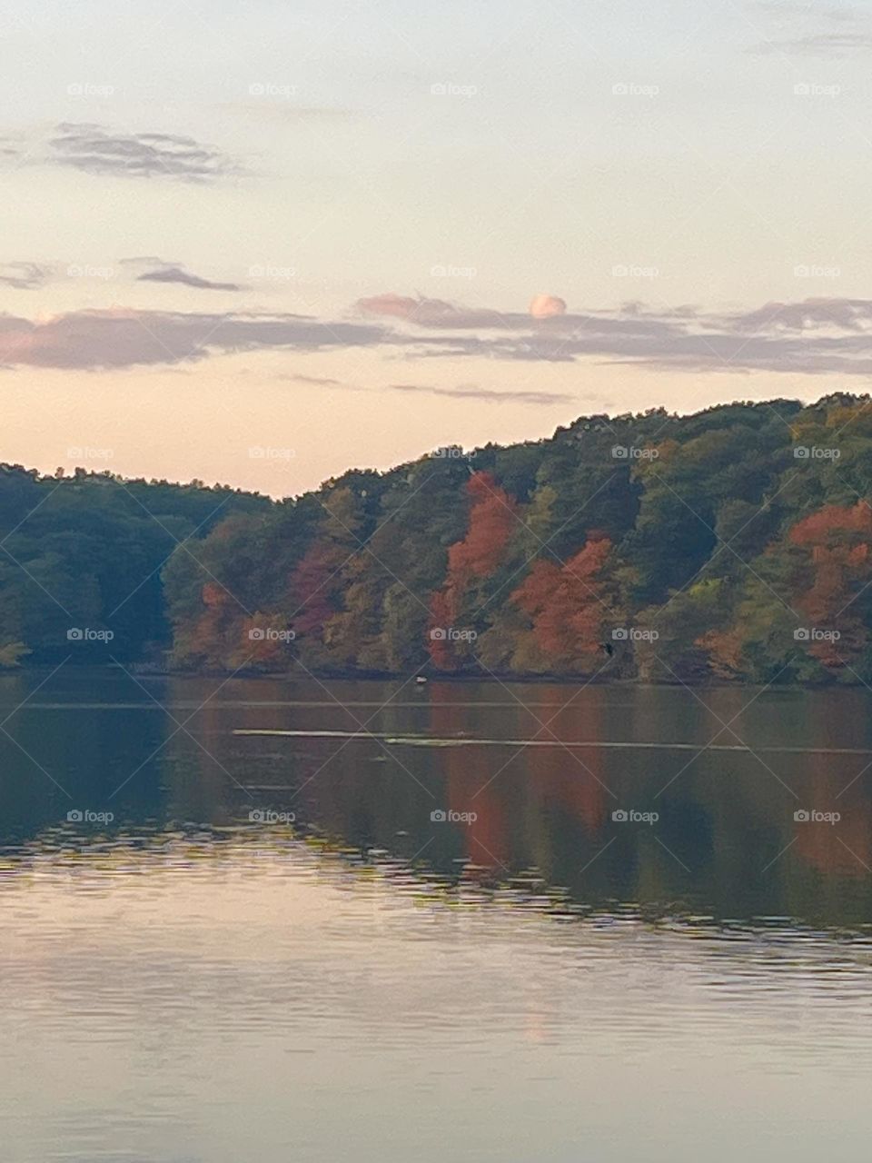 Autumn Shoreline 