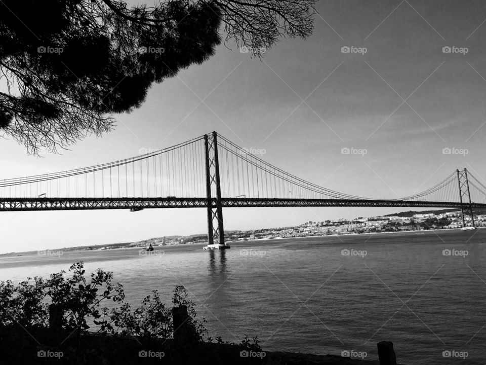 Bridge, B&W Photo, Art and Nature 
