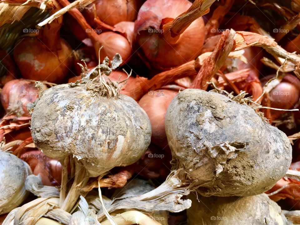 garlic braid in composition with other garden products