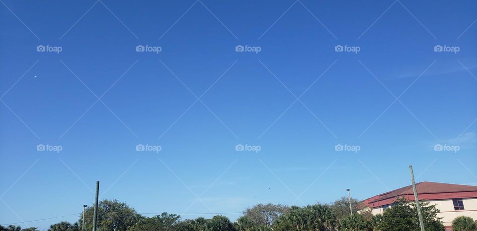 blue sky midday/spring