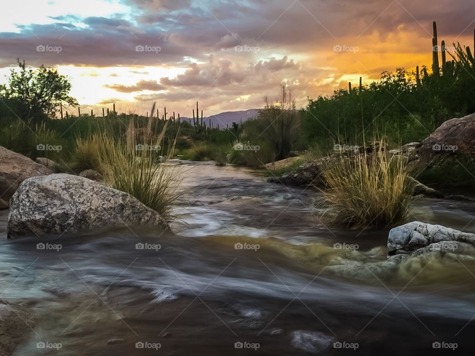 Streams in the desert 