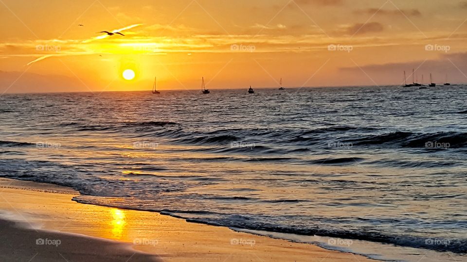 Scenic view of beach